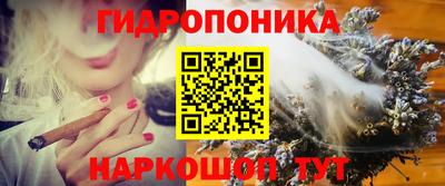 гашик Кулебаки