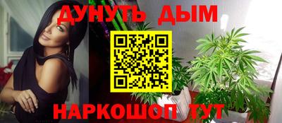 гашик Кулебаки