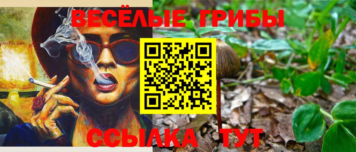 Псилоцибиновые грибы Cubensis  Вход с VPN  Гагарин  Псилоцибиновые грибы ЛСД 
