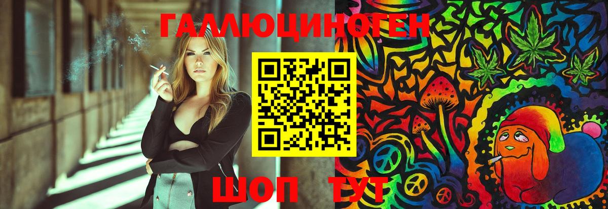 Псилоцибиновые грибы Psilocybe Гагарин